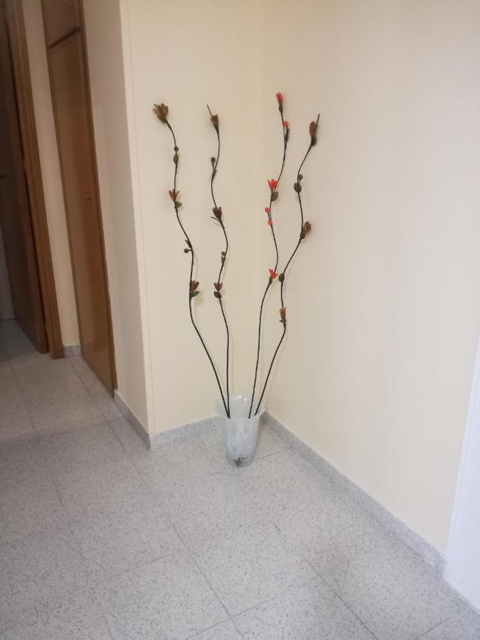 דירות קמפופליצ'ה די רוצ'לה Giusy'S Place 1 מראה חיצוני תמונה